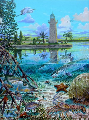 Carey Chen's image of Boca Chita Key is the signature piece for his show <i>Paradise for Marine Life</i>.