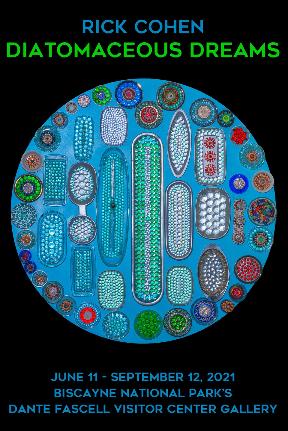 Colorful shapes made of found objects representing diatoms as seen under a microscope