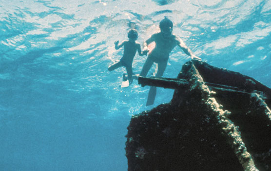 Father and son snorkel the wreck of Mandalay.