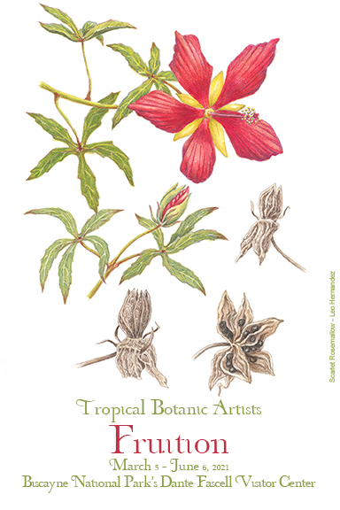 Fruition Exhibit Postcard Drawing of a red flower on a stem with green leaves, a budding flower on a stem and several brown seed pods below