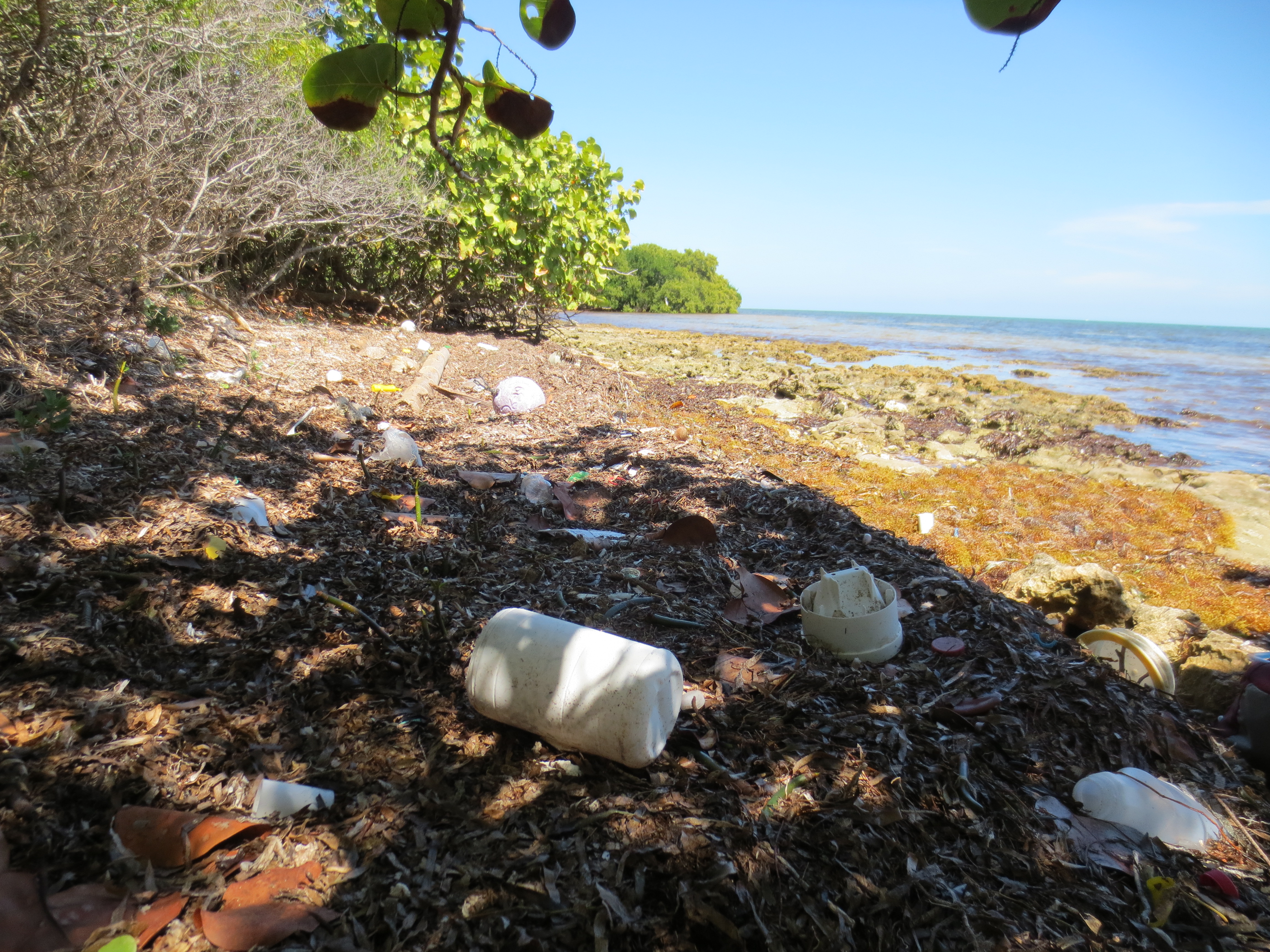 Marine debris on Elliott Key.