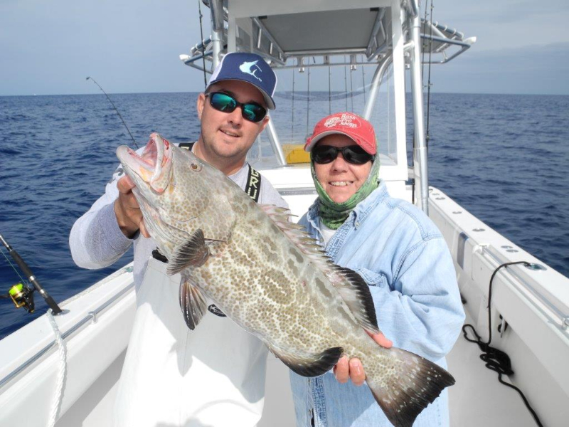 Black grouper