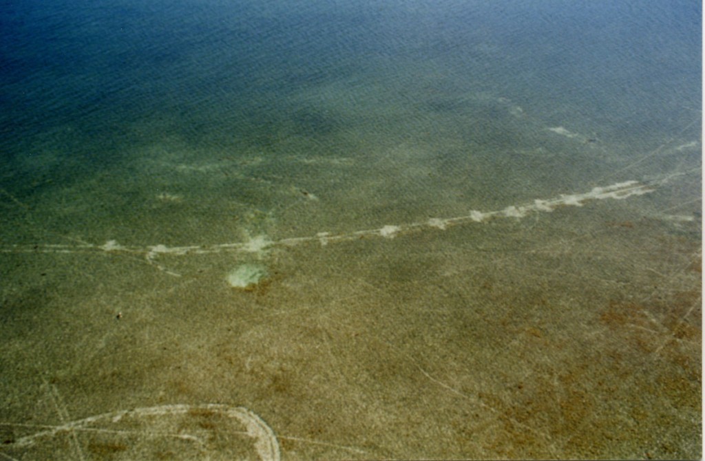 Seagrass scar