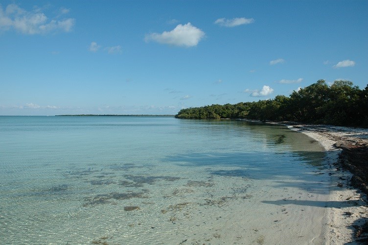 Clear shallow bay waters with a small strip of beach and mangroves in the distance