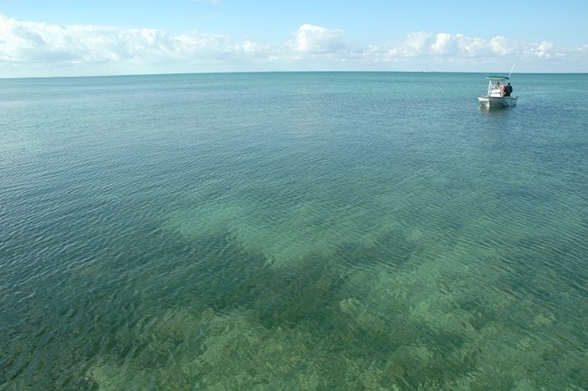 Elliott Key harbor