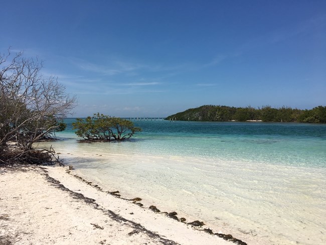 White sand beach with crystal clear waters