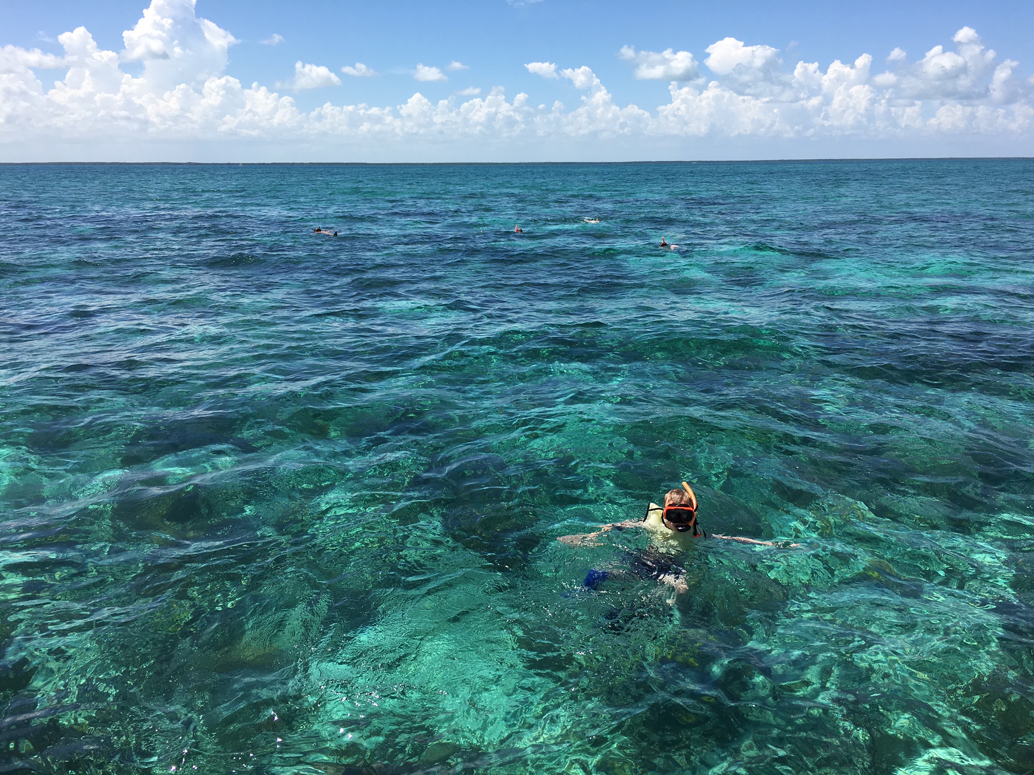 Snorkeling at Biscayne Bay National Park