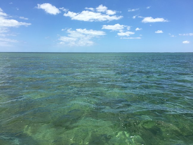 Clear blue-green bay waters stretching out into the far distance with blue sky and fluffy white clouds