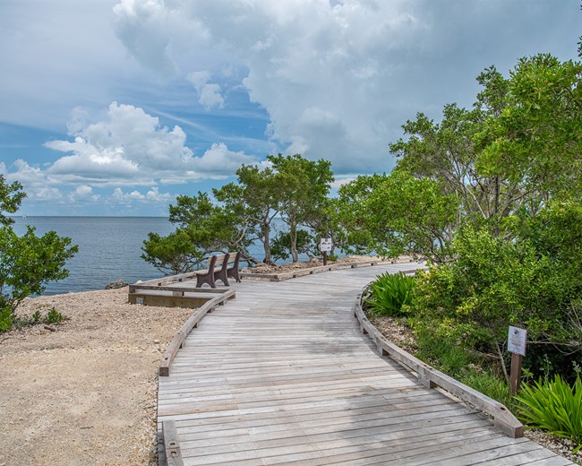 The boardwalk veers off to the right. There is a park bench, ocean, and trees off to the left.