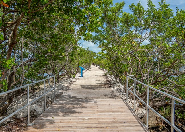 A nature trail extends into the distance. In the foreground a boardwalk with metal railings comes to an end and transitions into a graded gravel path. Trees line both sides and water can be seen through them.
