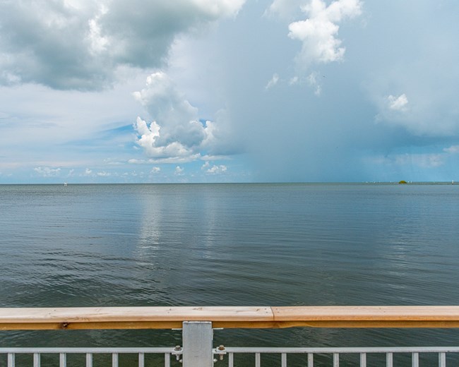 A view of the Bay with some fencing in view