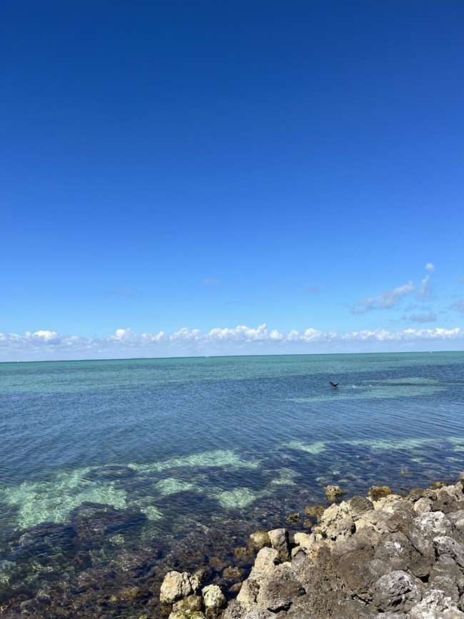 Below a clear blue sky lay calm turquoise waters. In the bottom right corner are rocks piled along the shoreline. Center right a bird takes off from the water.