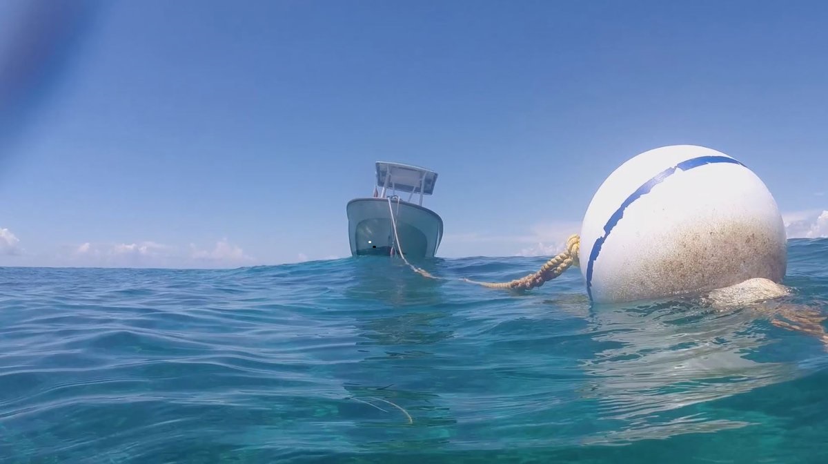 mooring buoy mooring buoy