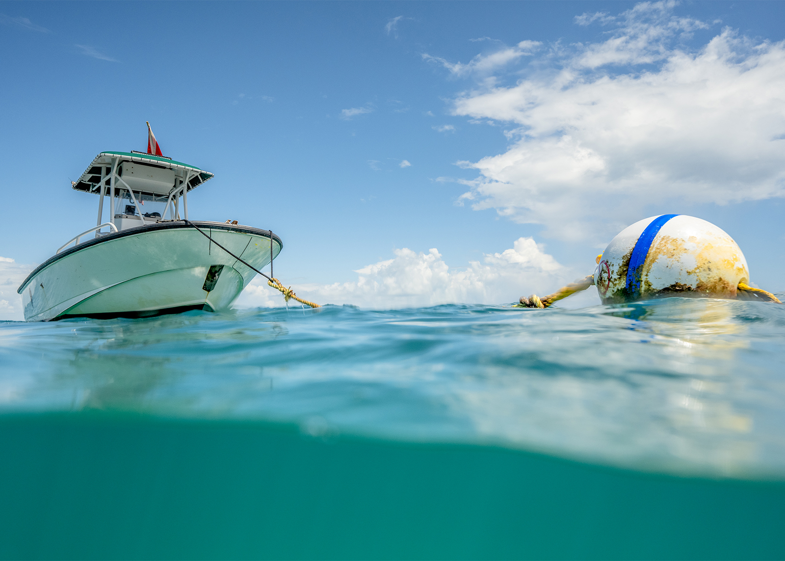 Mooring Buoys - Biscayne National Park (U.S. National Park Service)