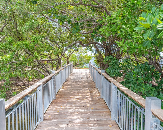 A bridge is lined with green trees