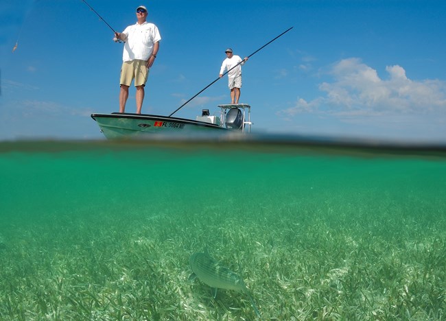 Fantastic bonefish habitat