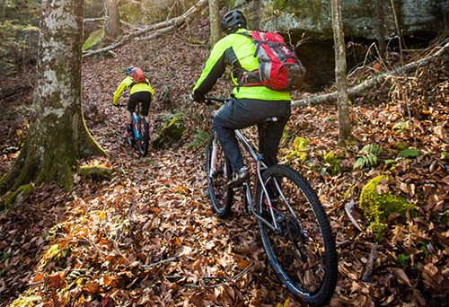 mountain bikers in forest