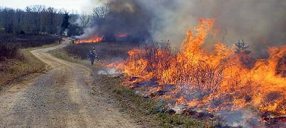 Firefighters ignite a prescribed fire within Big South Fork.