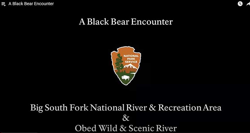 Click here for an informative video on bear encounters