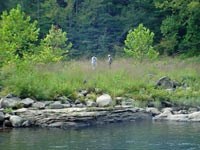 Researchers on river cobblebar