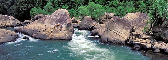 Devils Jump Rapids is located in Kentucky just above Blue Heron.