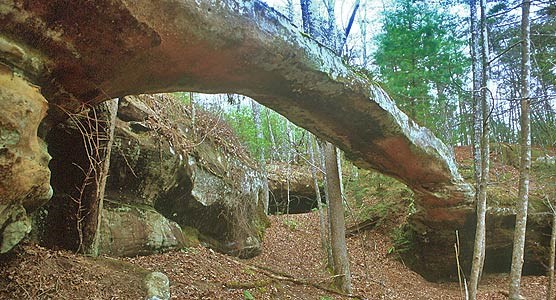 Needle Arch is one of hundreds located within Big South Fork.