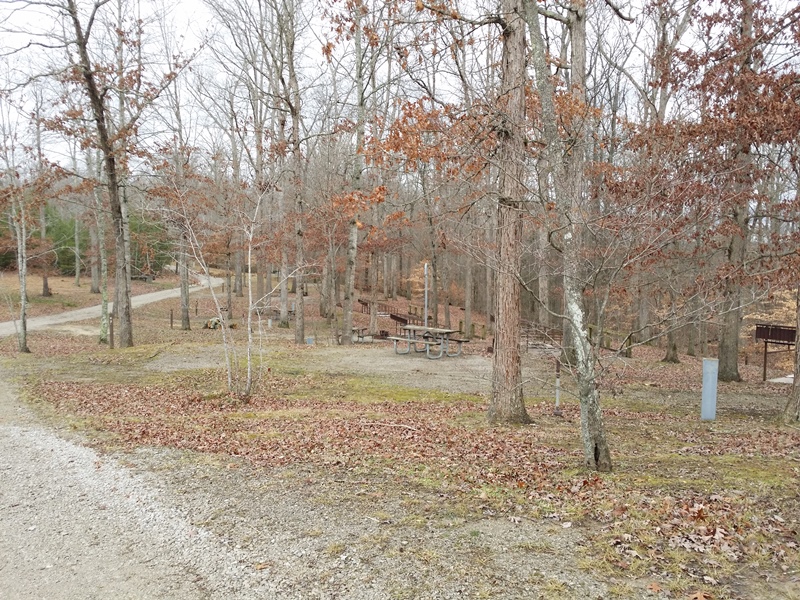 Campsites at Bear Creek