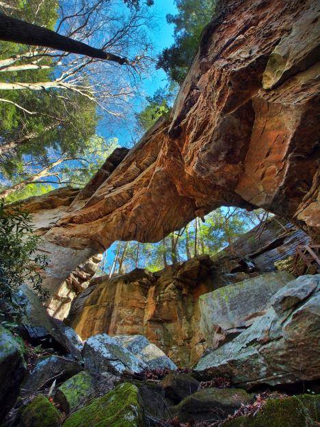 KY Landscapes - Bill Fultz - Split Bow Arch