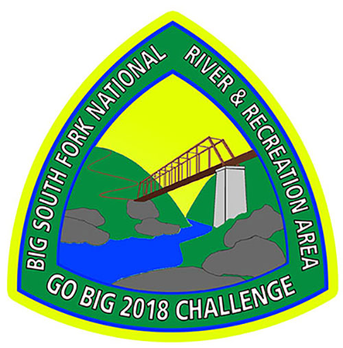 2018 GO BIG Challenge Patch 2018 GO BIG Challenge Patch