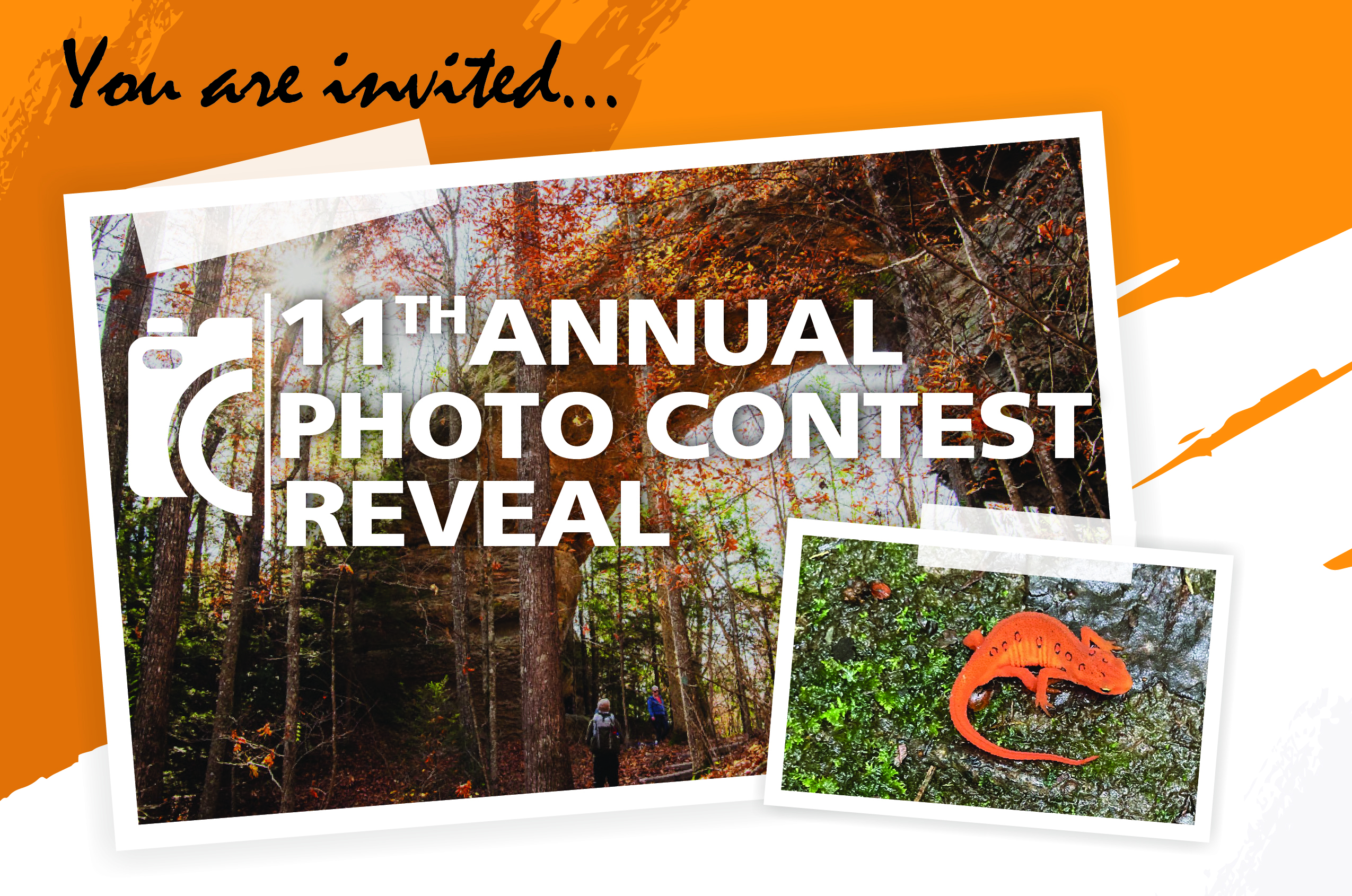 Graphic illustration showing two photos from previous contest photos.