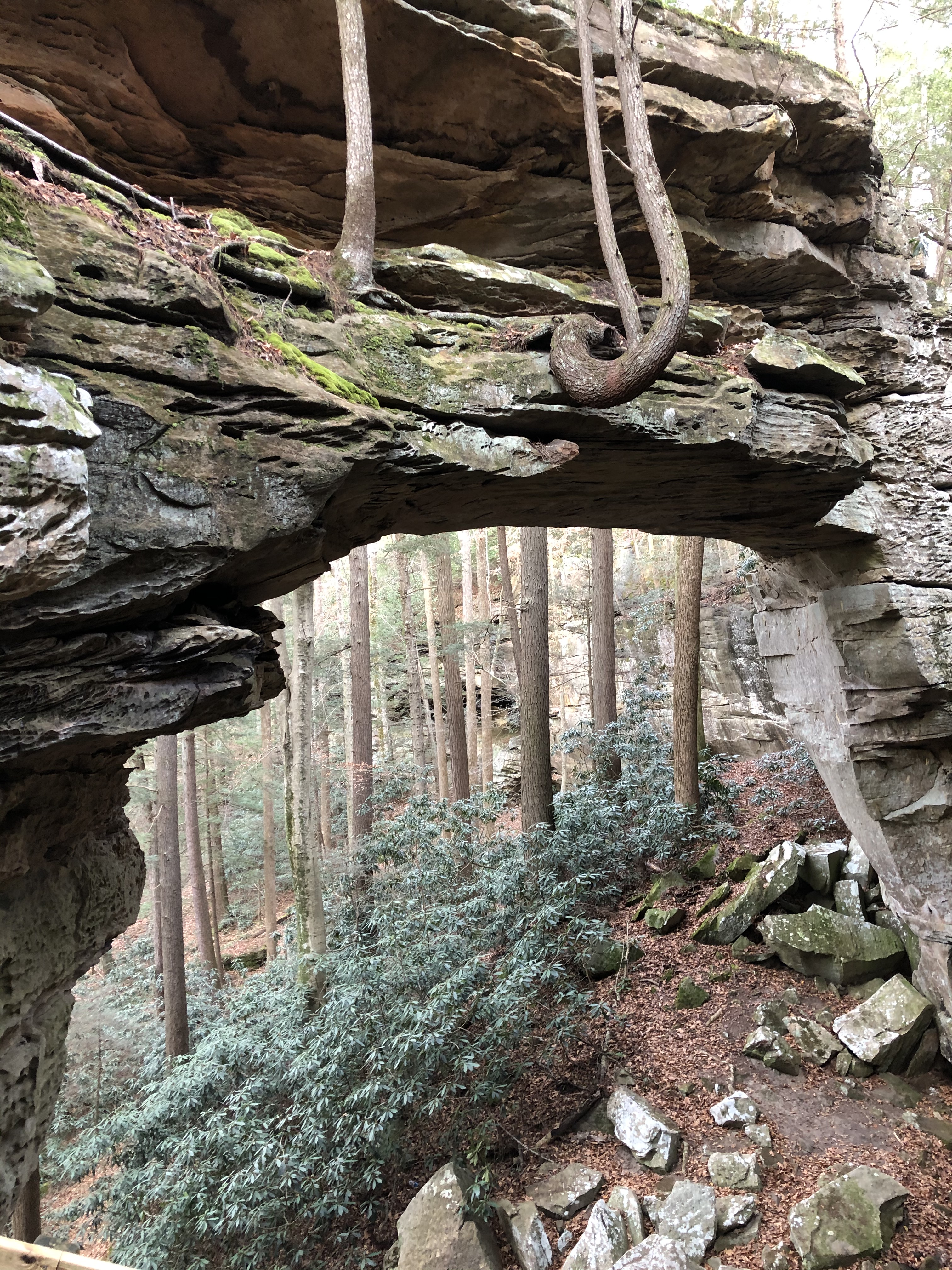 Arch rock formation in Big South Fork.