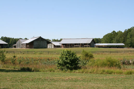 Bandy Creek Stables Photo