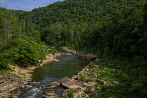 River through forest green