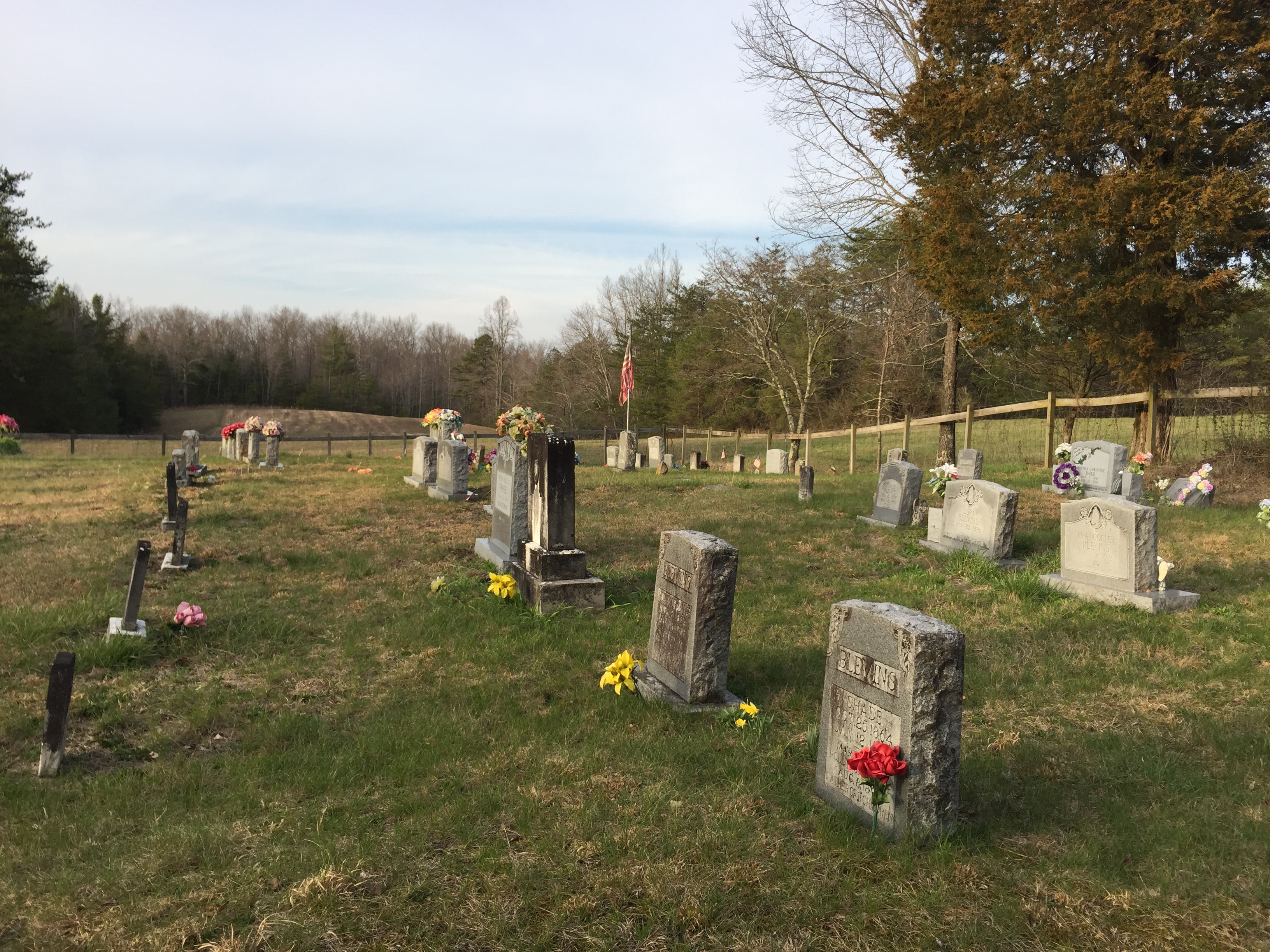 Cemetery located in park