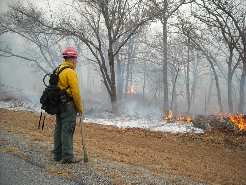 firefighter watching fire line