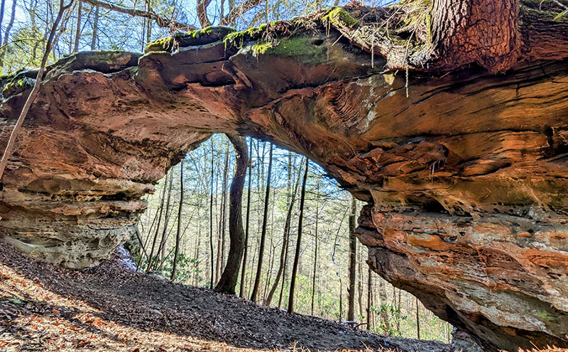 Exberger-Debbi_Annie-Branch-Arch_KY-Landscapes Exberger-Debbi_Annie-Branch-Arch_KY-Landscapes