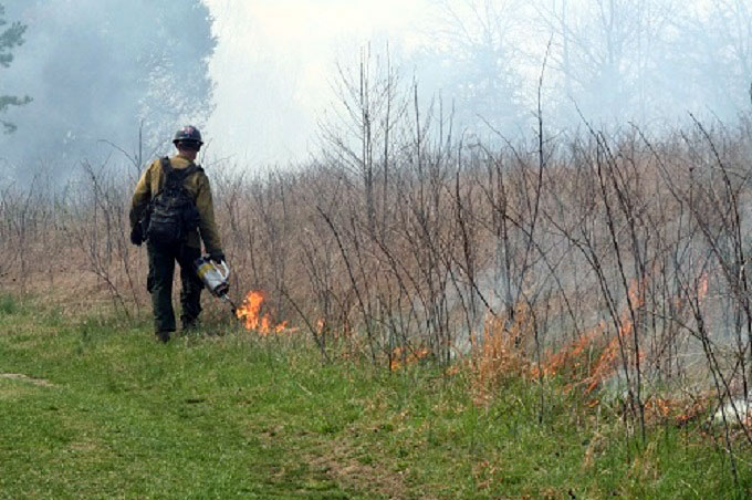 Firefighter conducting prescribed fire operations of a field