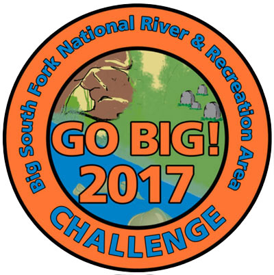 GO BIG 2017 Challenge
