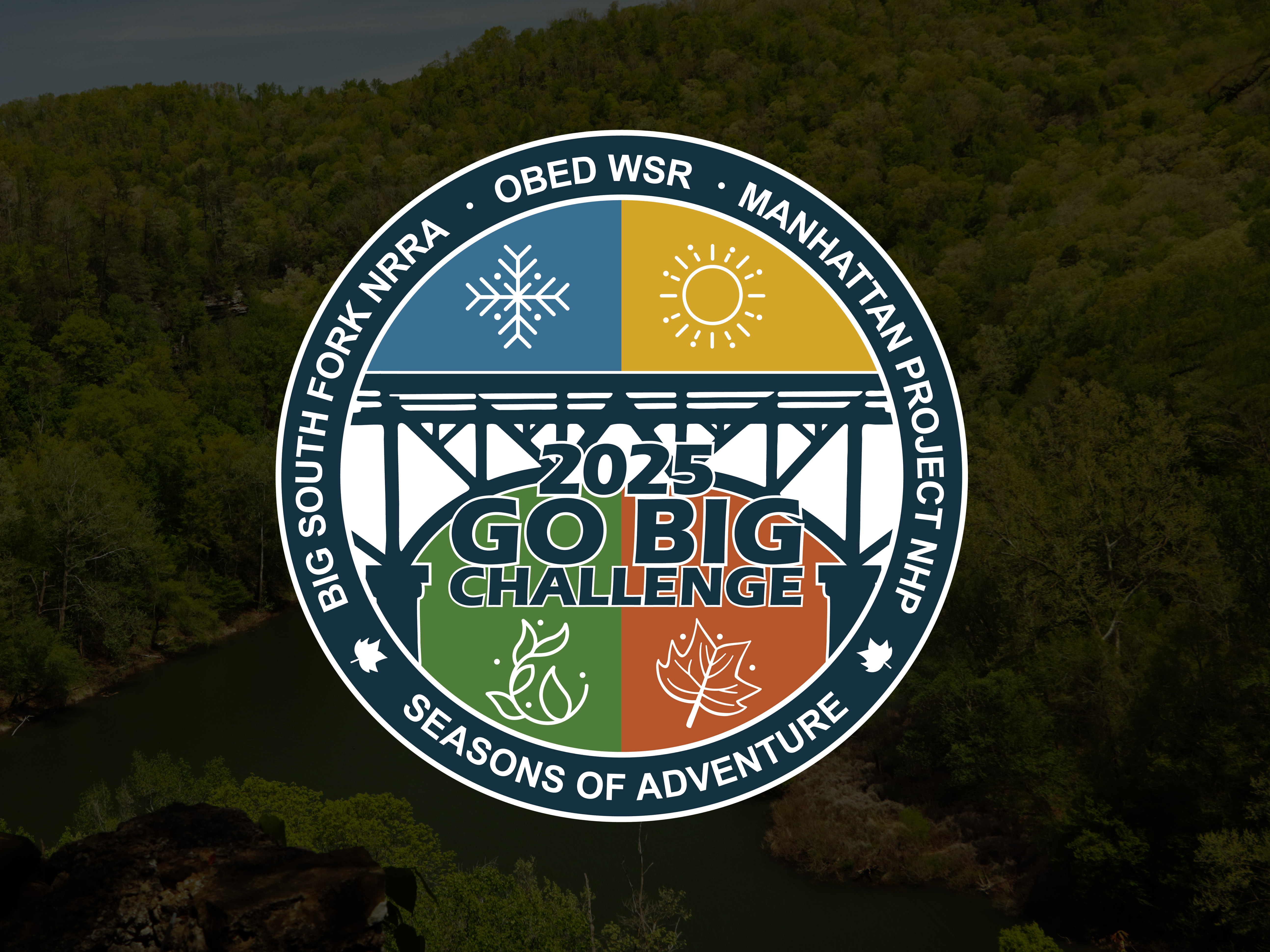 Go Big Challenge Image Logo