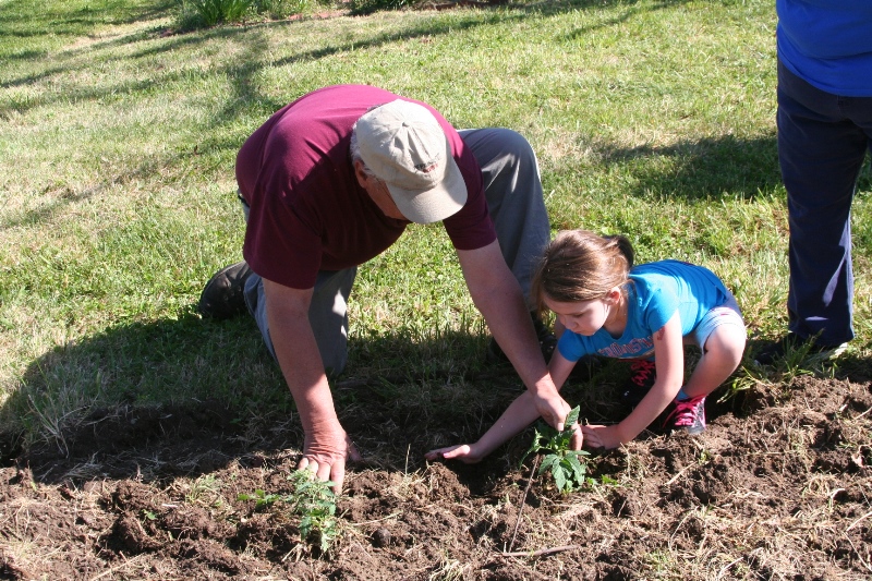 Man teaching little girl about gardening