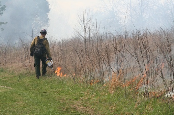 Firefighter conducting a controlled burn