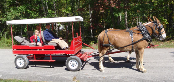 O and W Wagon Use for web