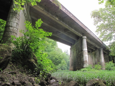 Old Brewster Bridge