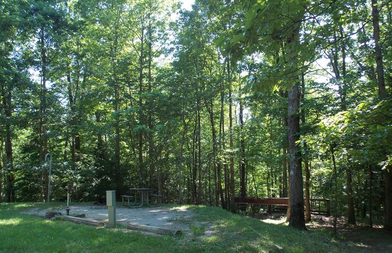 campsite with electrical hook up and picnic table surrounded by tall green trees