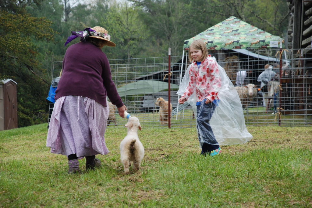 Traditional skills reenactor with sheep