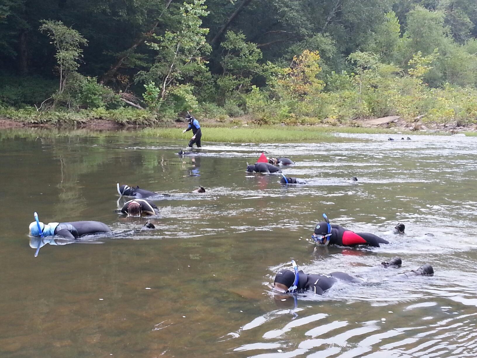 Scientists Surveying Endangered Tuxedo Darter Sep 2014