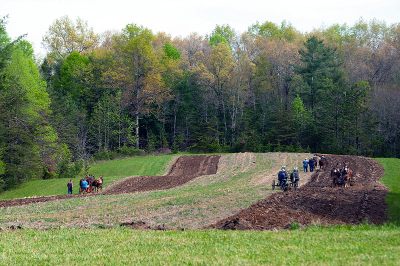 Spring-Planting-2022-(178)