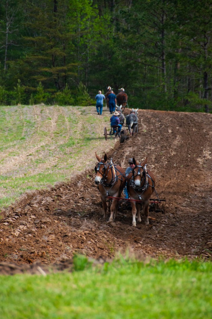 Spring Planting 2022 (3)-2 Spring Planting 2022 (3)-2
