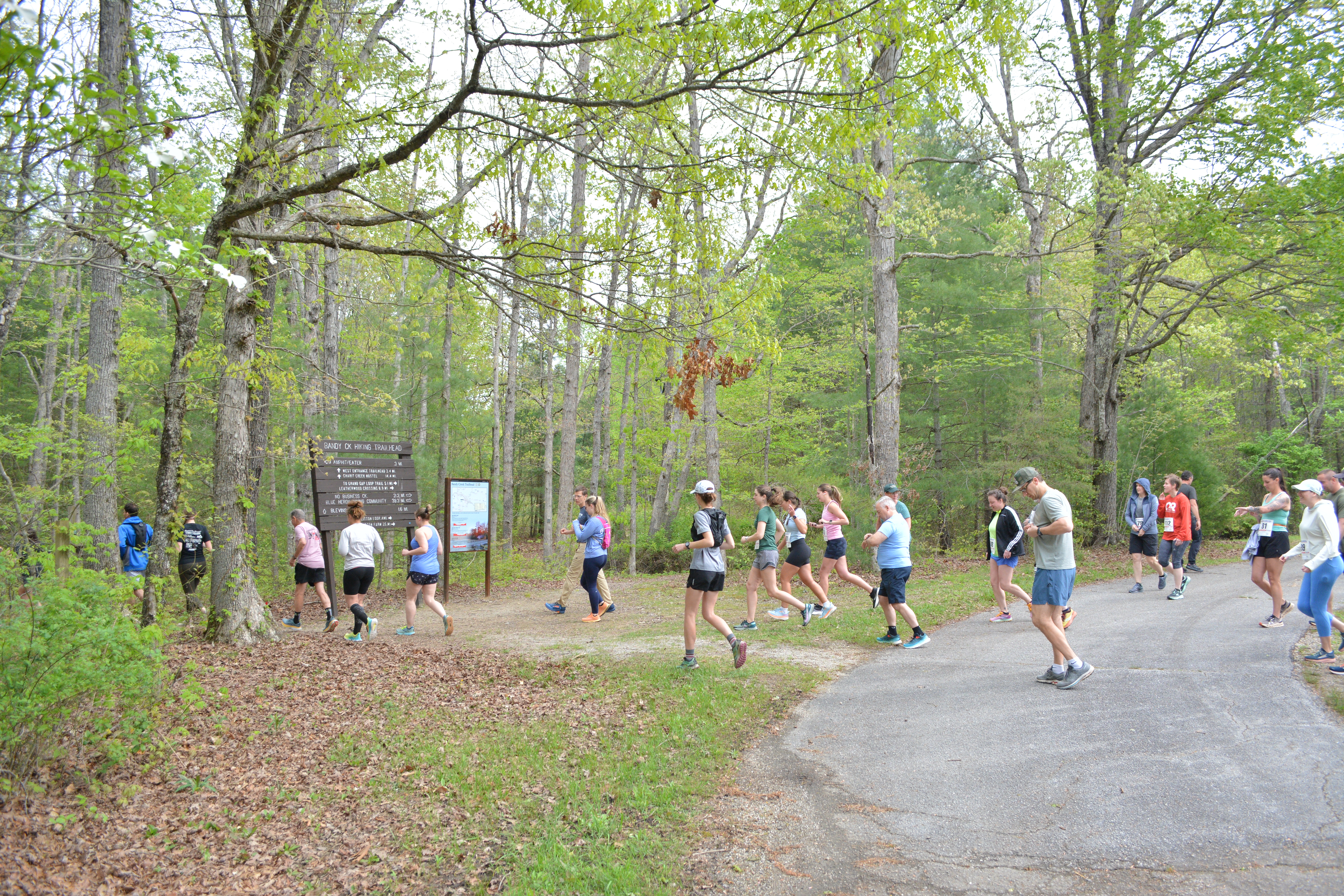 Group of runners starting off and going into the woods.