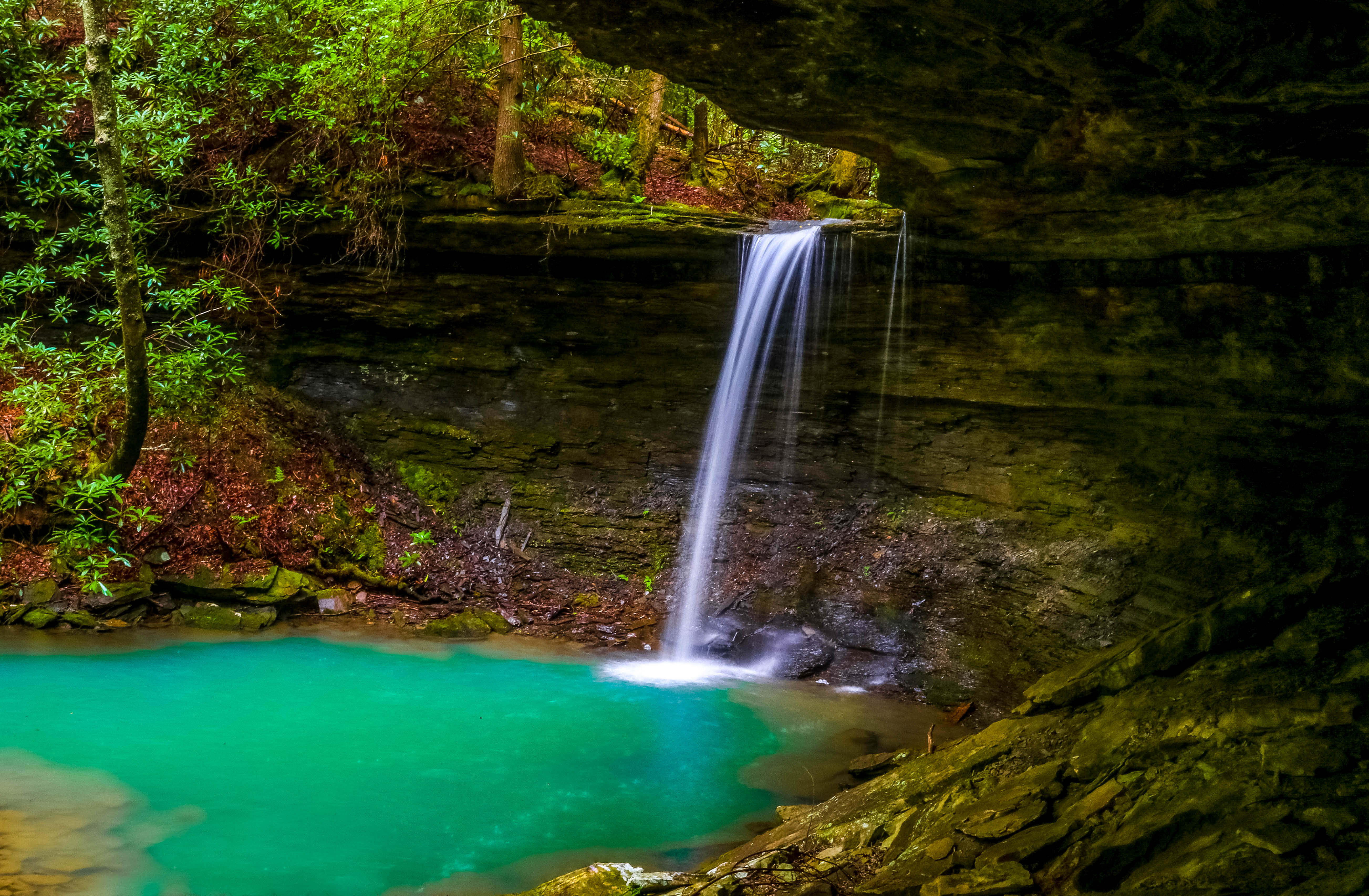 TN Landscapes - Sarah Dunlap - Beaver Falls